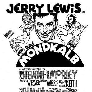 Foto Um Biruta em Órbita