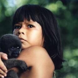 Foto Tainá - Uma Aventura na Amazônia