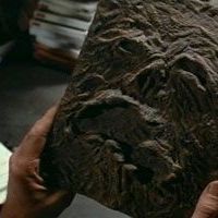 Foto Uma Noite Alucinante 2