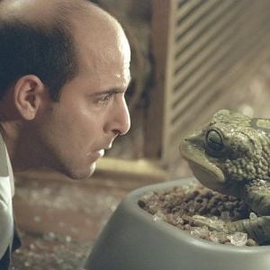 Foto Grande Problema