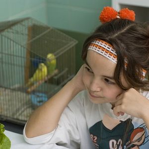 Foto Antes que o Mundo Acabe