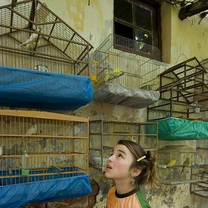 Foto Antes que o Mundo Acabe