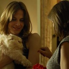 Foto Diário Proibido