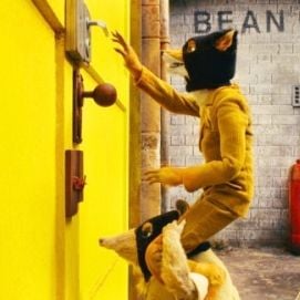 Foto O Fantástico Sr. Raposo