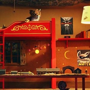 Foto O Fantástico Sr. Raposo