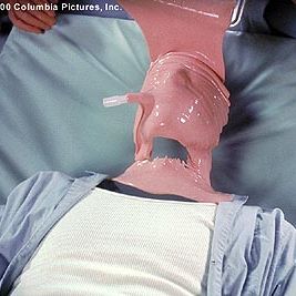 Foto O Homem Sem Sombra