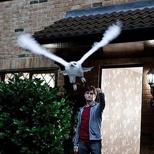 Foto Harry Potter e as Relíquias da Morte - Parte 1