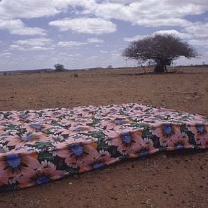 Foto Viajo Porque Preciso, Volto Porque Te Amo