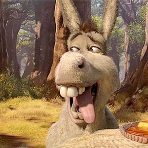 Foto Shrek para Sempre