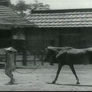 Foto Trono Manchado de Sangue