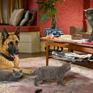Foto Como Cães e Gatos 2 - A Vingança de Kitty Galore