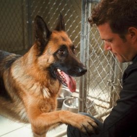 Foto Como Cães e Gatos 2 - A Vingança de Kitty Galore