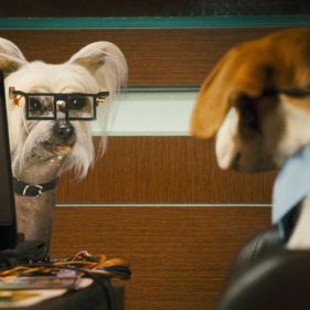 Foto Como Cães e Gatos 2 - A Vingança de Kitty Galore