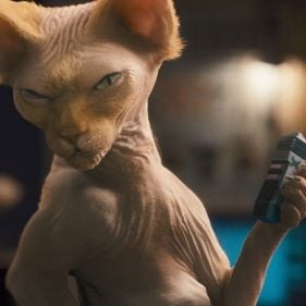 Foto Como Cães e Gatos 2 - A Vingança de Kitty Galore