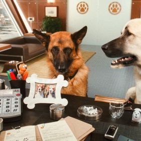 Foto Como Cães e Gatos 2 - A Vingança de Kitty Galore