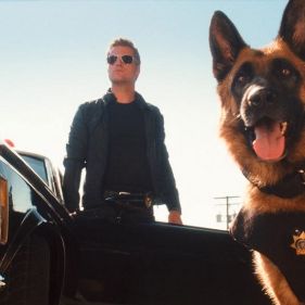 Foto Como Cães e Gatos 2 - A Vingança de Kitty Galore