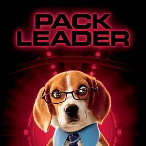 Foto Como Cães e Gatos 2 - A Vingança de Kitty Galore