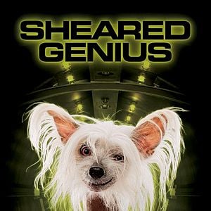 Foto Como Cães e Gatos 2 - A Vingança de Kitty Galore