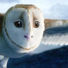 Foto A Lenda dos Guardiões