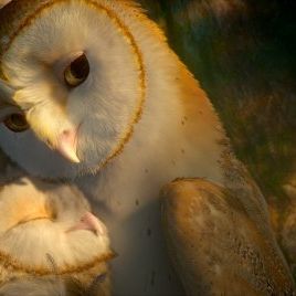Foto A Lenda dos Guardiões