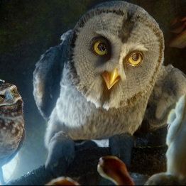 Foto A Lenda dos Guardiões