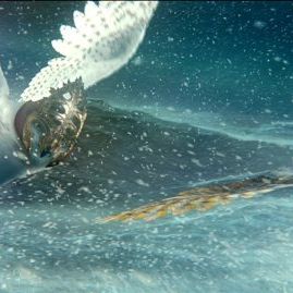 Foto A Lenda dos Guardiões