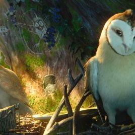 Foto A Lenda dos Guardiões