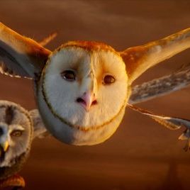 Foto A Lenda dos Guardiões