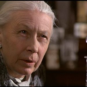 Foto O Ovo da Serpente