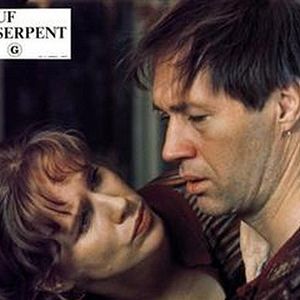 Foto O Ovo da Serpente