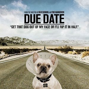 Foto Um Parto de Viagem