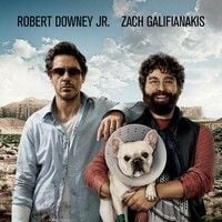 Foto Um Parto de Viagem