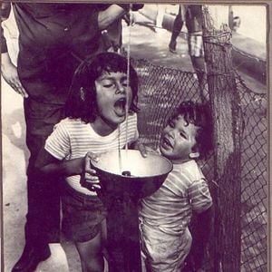 Foto Diário de uma Busca