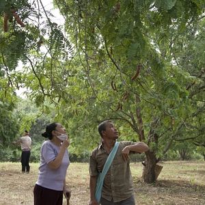 Foto Tio Boonmee, Que Pode Recordar Suas Vidas Passadas