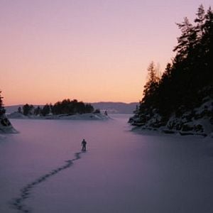 Foto Essential Killing