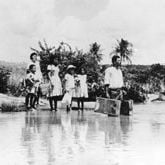 Foto Cabra Marcado Para Morrer