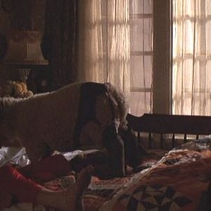 Foto Tudo o que Você Sempre Quis Saber Sobre Sexo Mas Tinha Medo de Perguntar