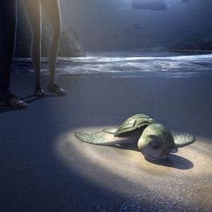 Foto As Aventuras de Sammy