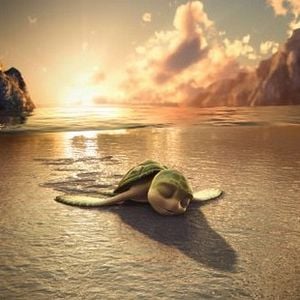 Foto As Aventuras de Sammy