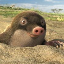 Foto Animais Unidos Jamais Serão Vencidos