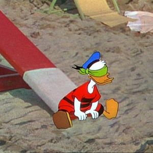 Foto Você Já Foi à Bahia?