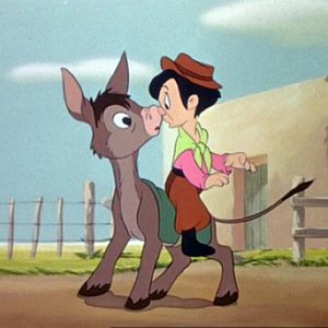 Foto Você Já Foi à Bahia?