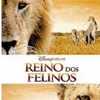 Foto Reino dos Felinos
