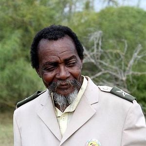 Foto O Último Voo do Flamingo