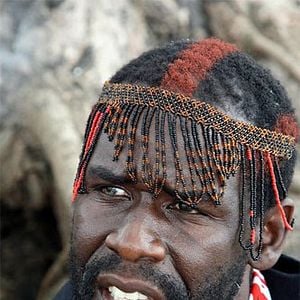 Foto O Último Voo do Flamingo