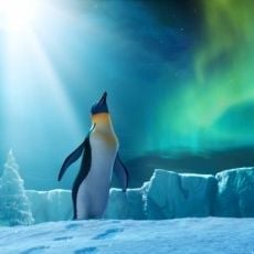 Foto Happy Feet 2 - O Pinguim