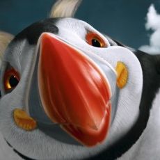 Foto Happy Feet 2 - O Pinguim