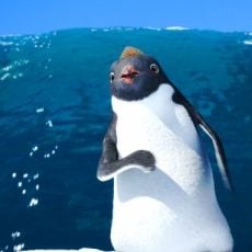 Foto Happy Feet 2 - O Pinguim