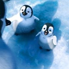 Foto Happy Feet 2 - O Pinguim