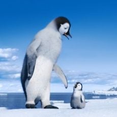 Foto Happy Feet 2 - O Pinguim